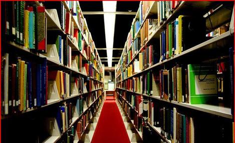 Bibliotecário alemão discute biblioteca do século XXI